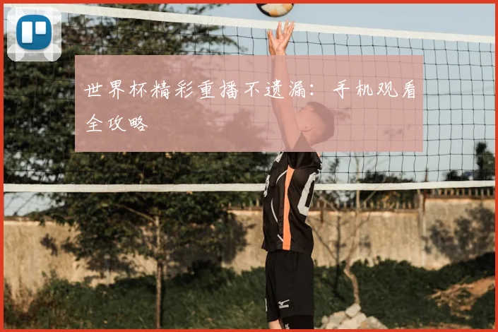 世界杯精彩重播不遗漏：手机观看全攻略