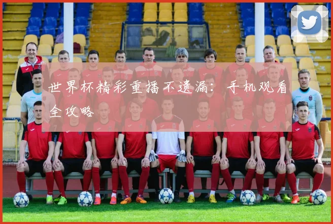 世界杯精彩重播不遗漏：手机观看全攻略