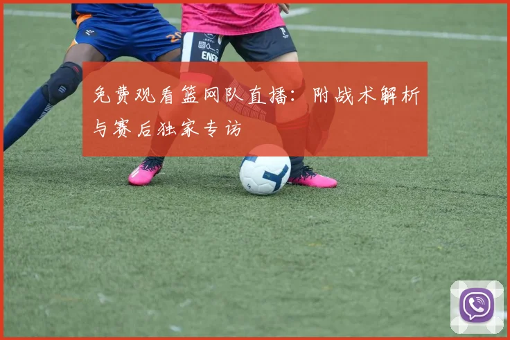 免费观看篮网队直播：附战术解析与赛后独家专访