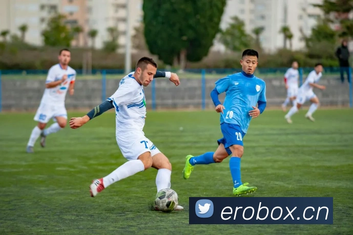 多媒体互动体验