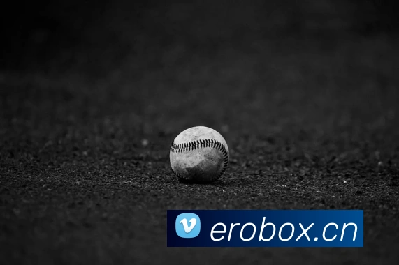 开云官方登录APP 体育赛事宣传图